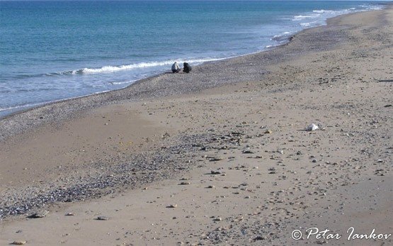 Playa de Shabla